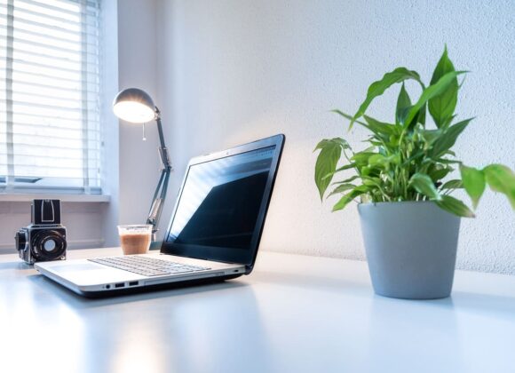 Como Harmonizar Com Decoração de Plantas