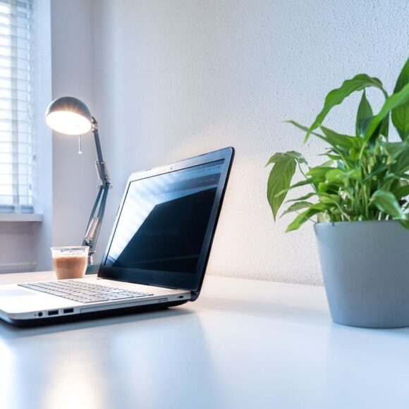 Como Harmonizar Com Decoração de Plantas